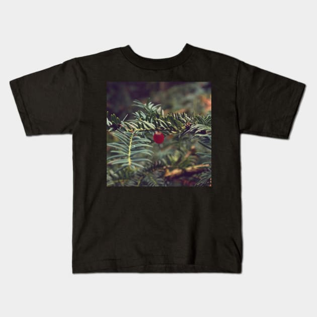 Winter Berry Kids T-Shirt by hextrovert